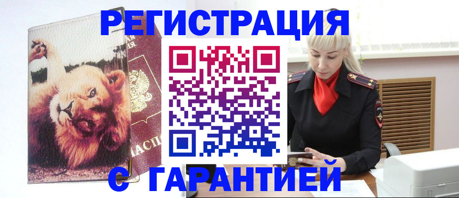 прописка от собственника в Каргополе